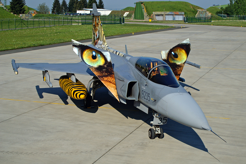 JAS 39 Gripen da República Tcheca. Foto: Milan Nykodym