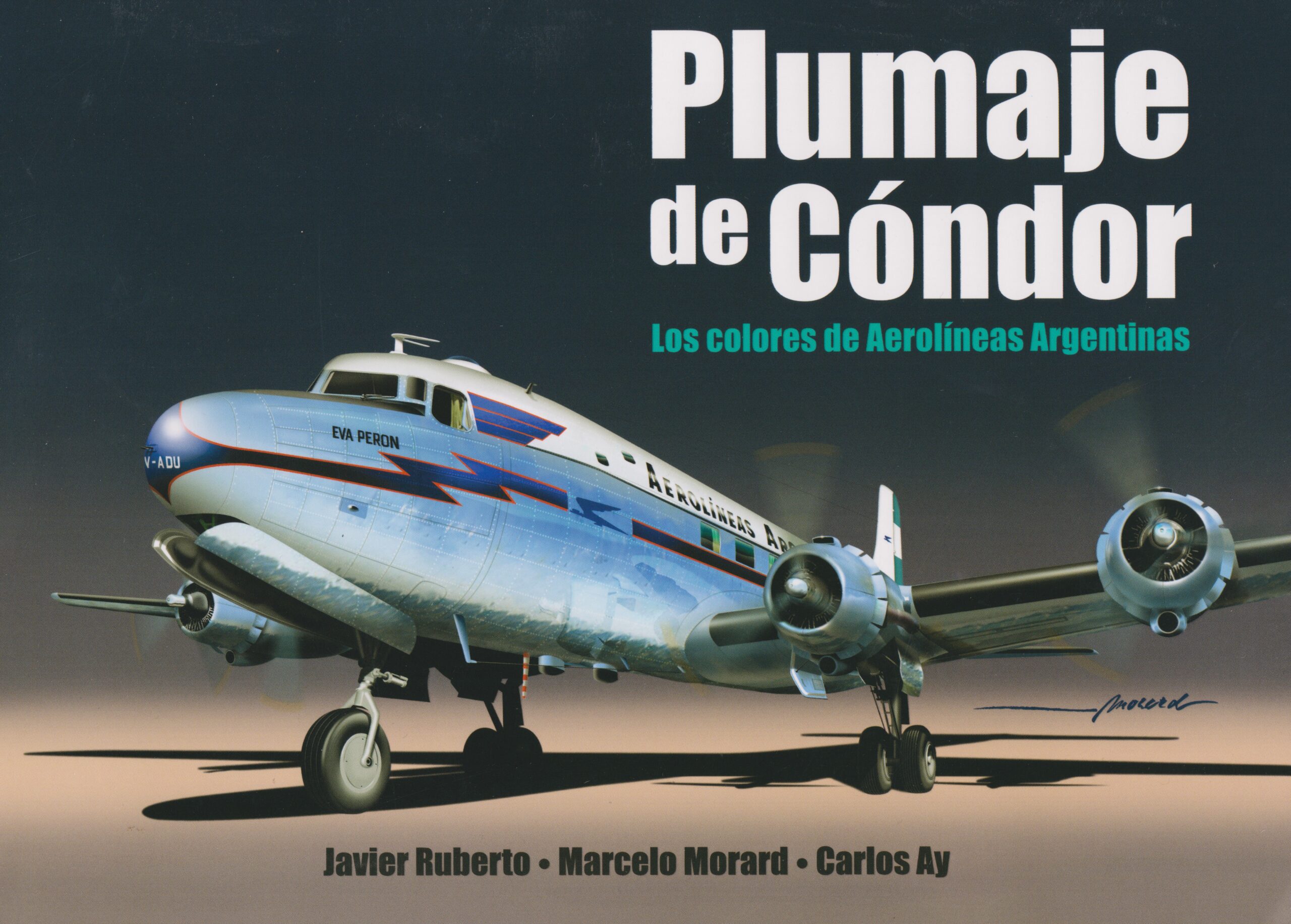PLUMAJE DE CONDOR
