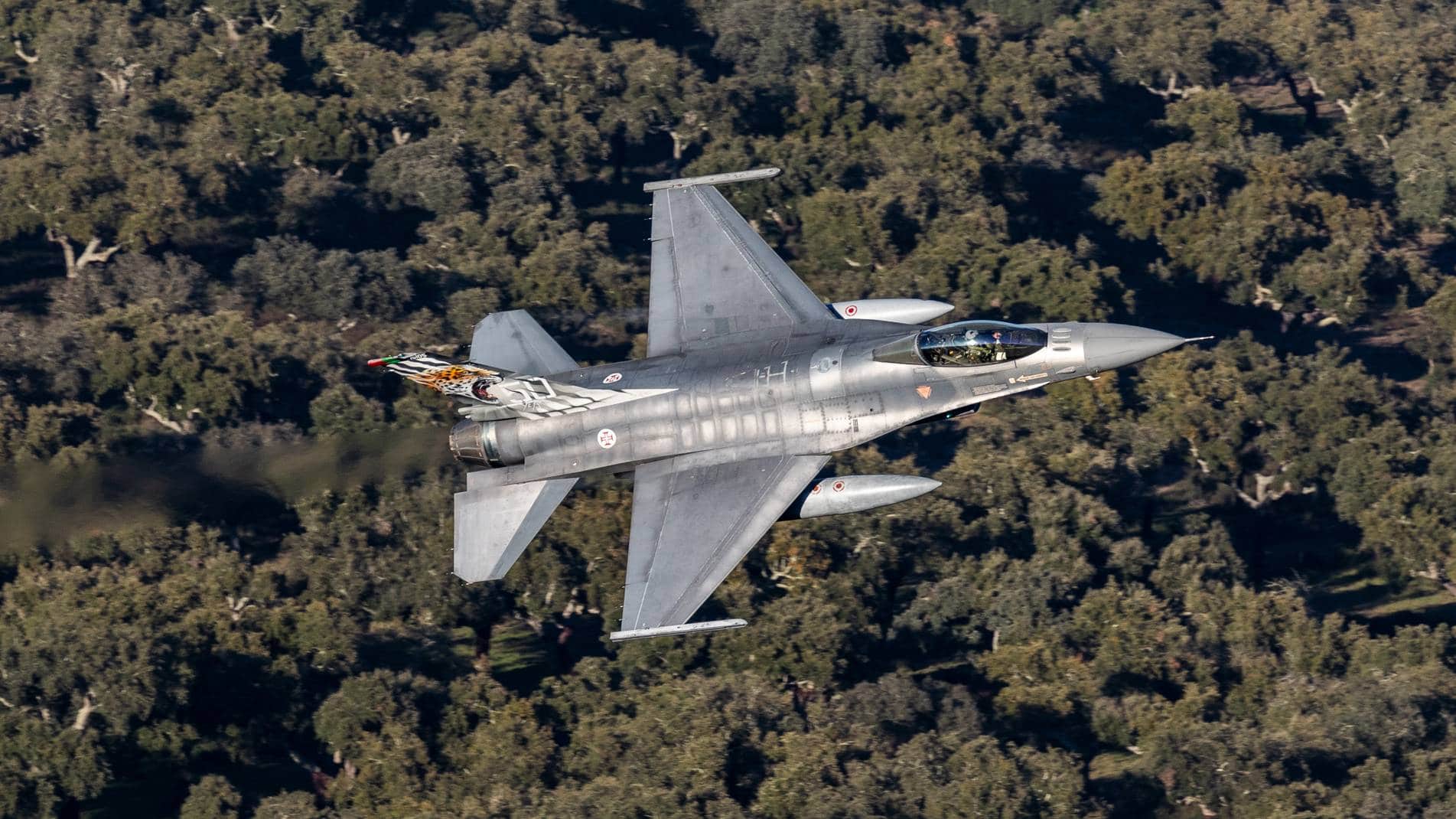 Foto: Força Aérea de Portugal