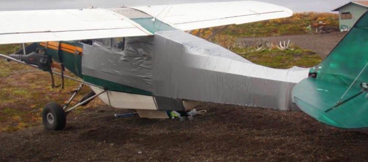 Um avião recuperado com silvertape por causa de um ataque de urso? Que história é essa?