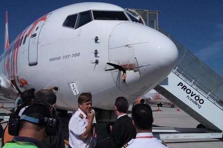 Aéreas brasileiras têm R$ 110 milhões de prejuízo em 2021 com colisões com pássaros