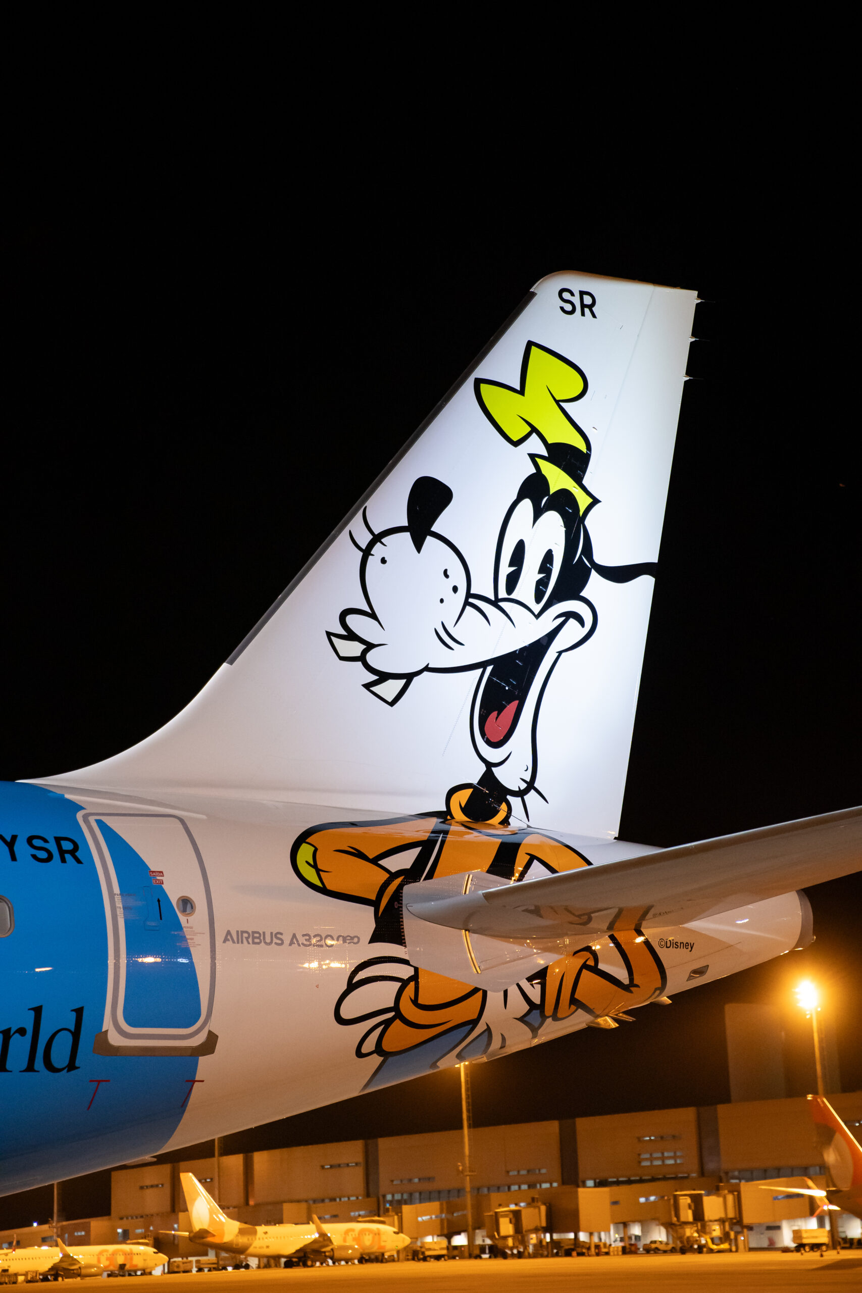 Com foco no turismo, avião do “Pateta” chega ao Brasil